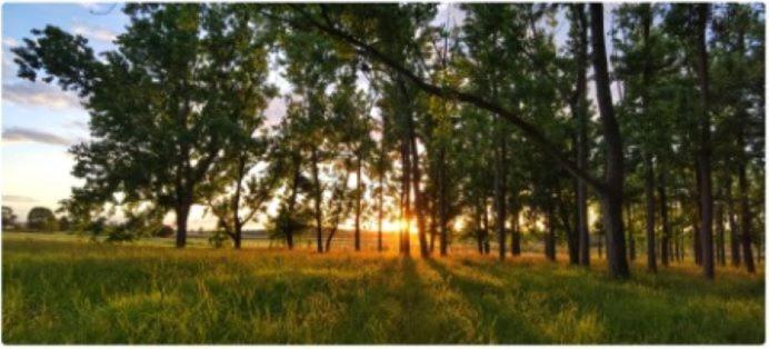 All Seasons Country Lodge Taree Dış mekan fotoğraf