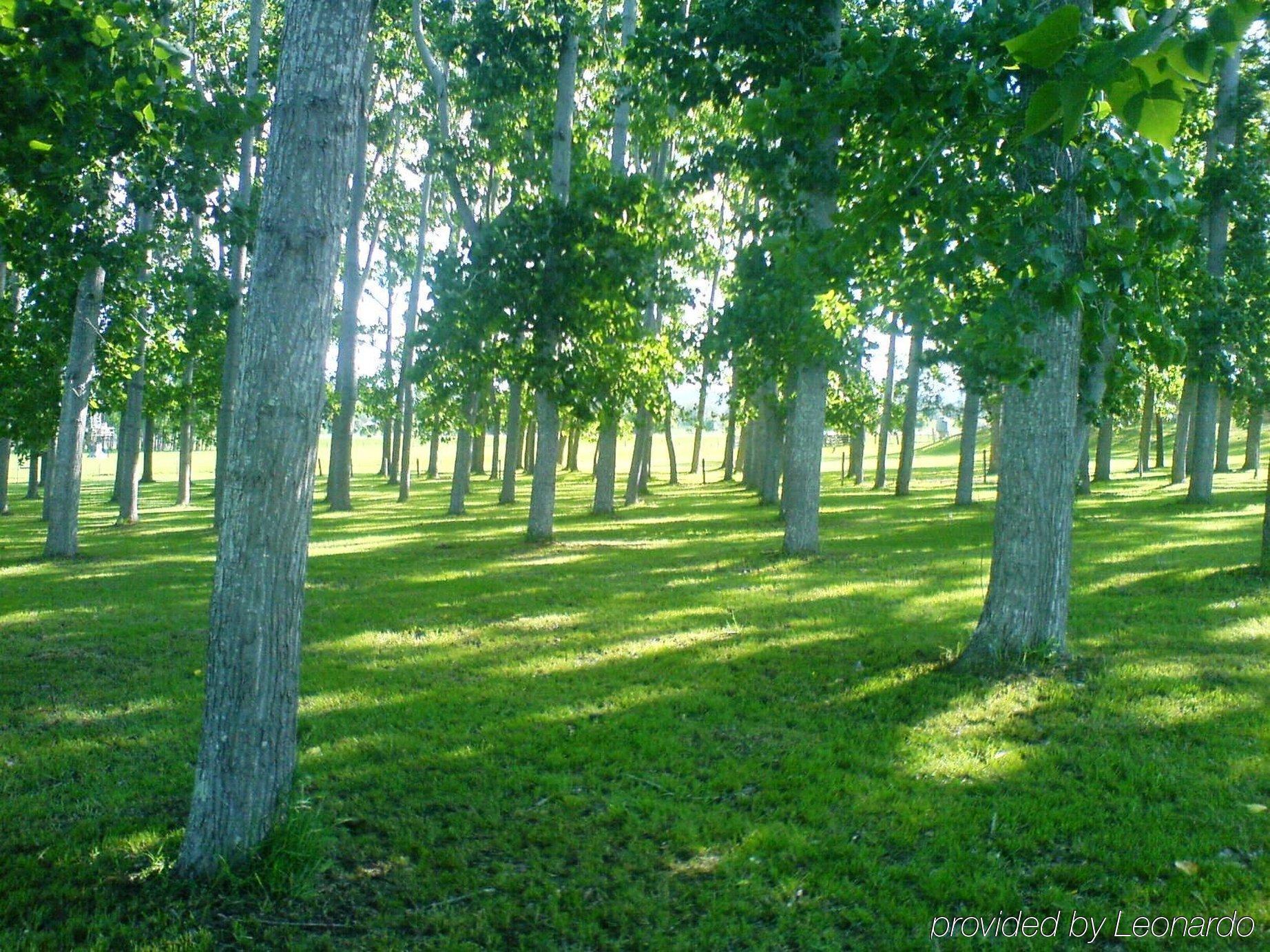 All Seasons Country Lodge Taree Dış mekan fotoğraf